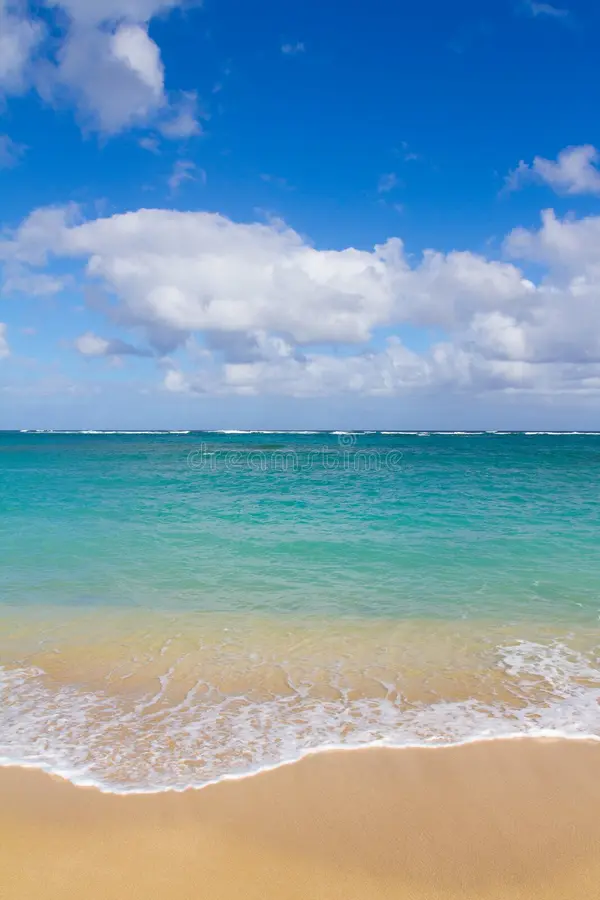 tropical-beach-paradise-29571428